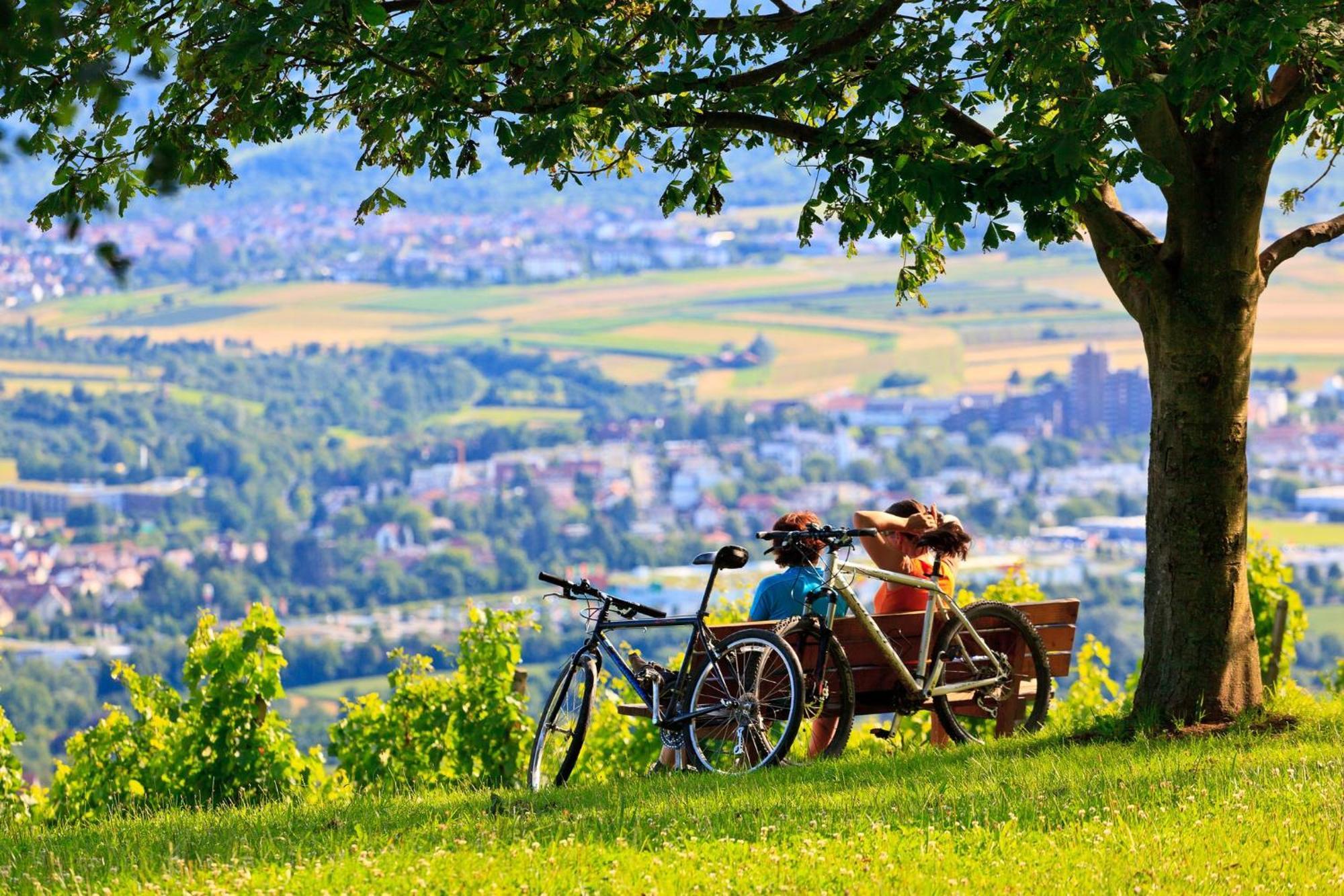 Holiday Inn Express Stuttgart-Waiblingen By Ihg Zewnętrze zdjęcie